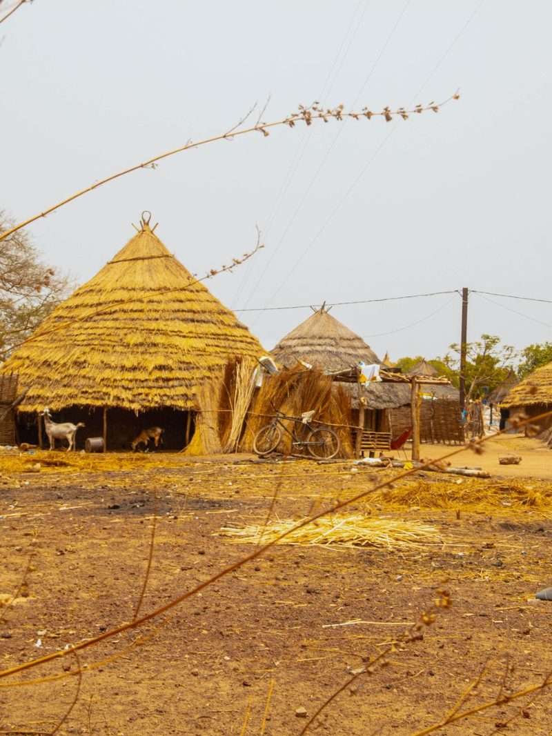 Sénégal, un voyage qui reste au cœur