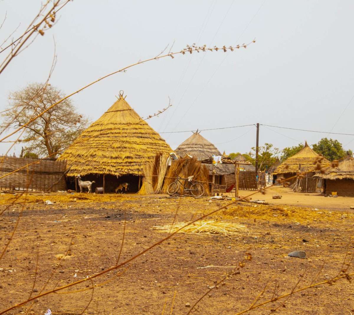 Sénégal — vue 3