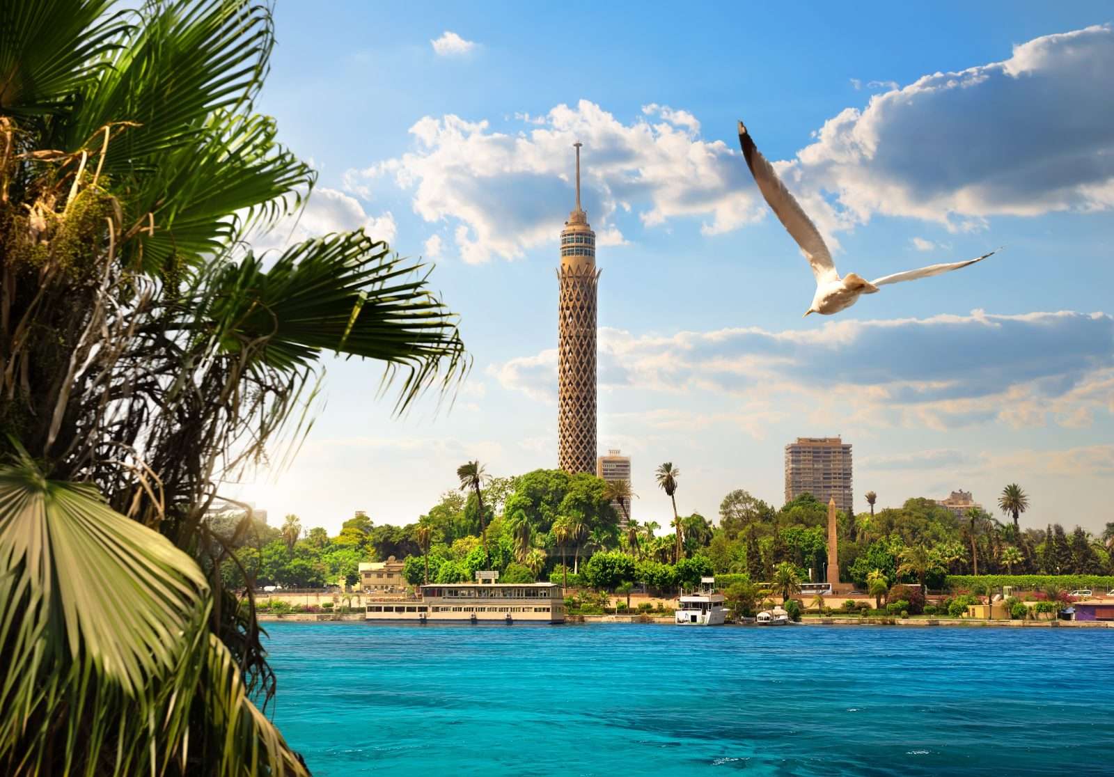 Le Caire
