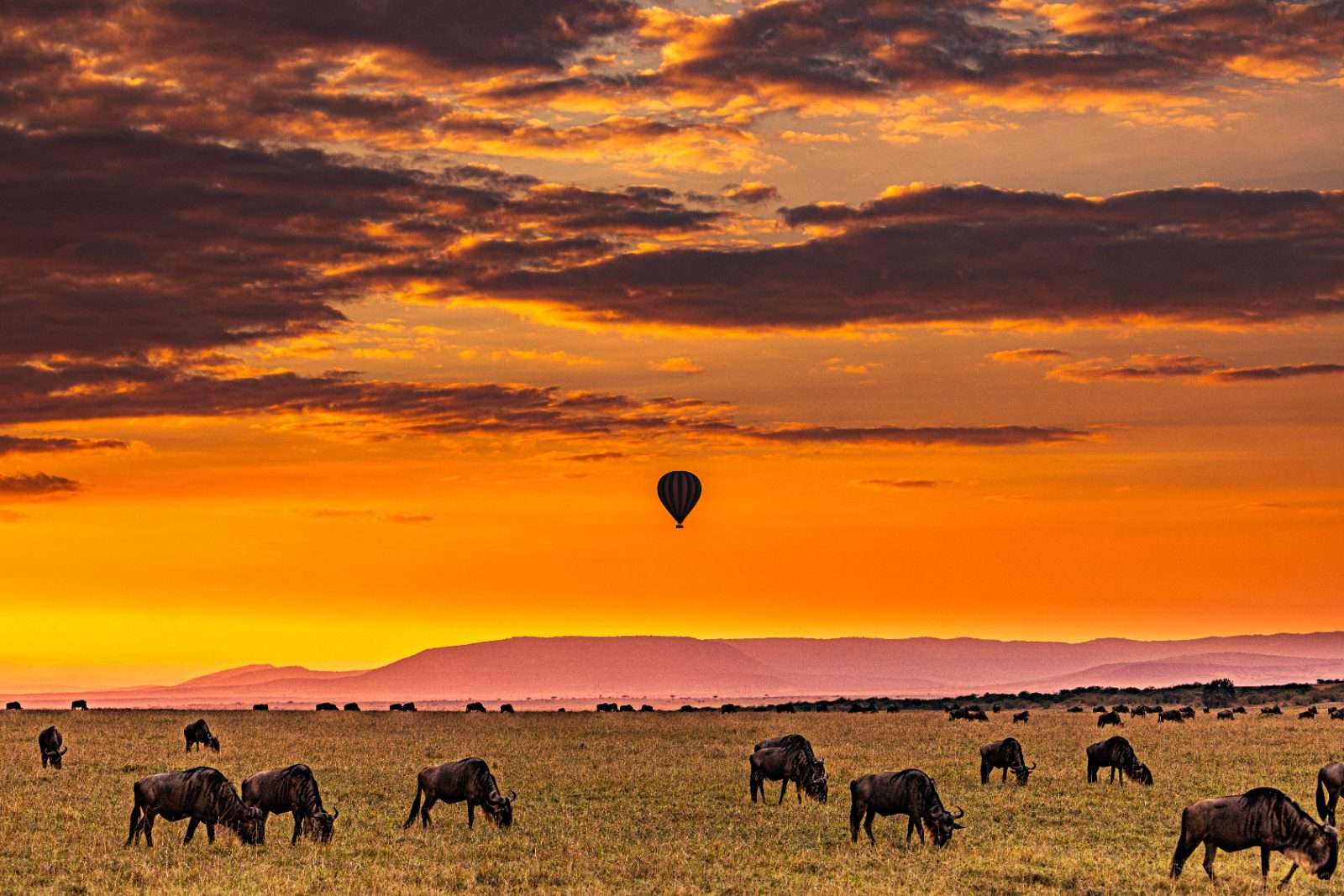Kenya