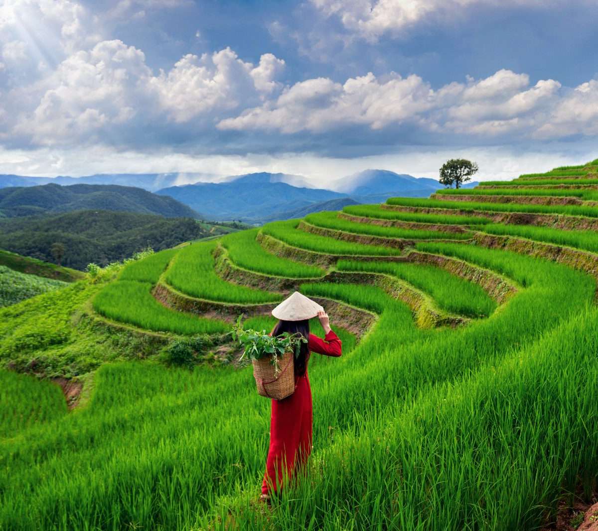 Vietnam — vue 4