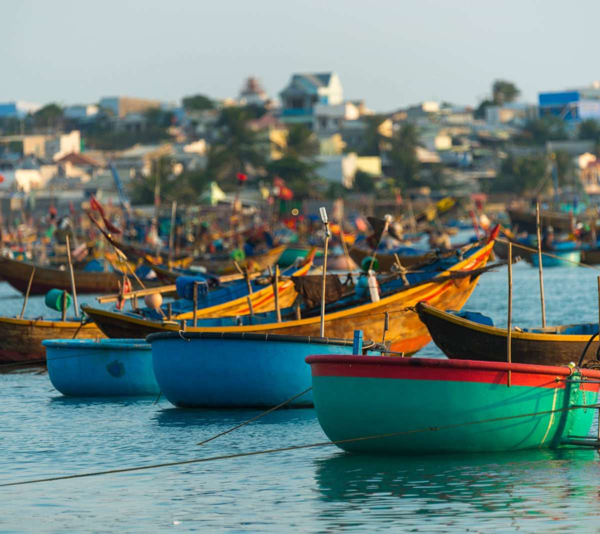 Vietnam — vue 2