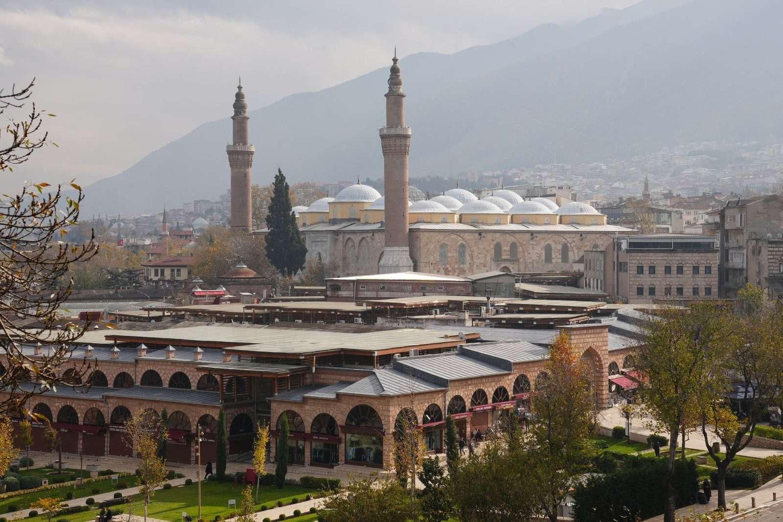 Bursa