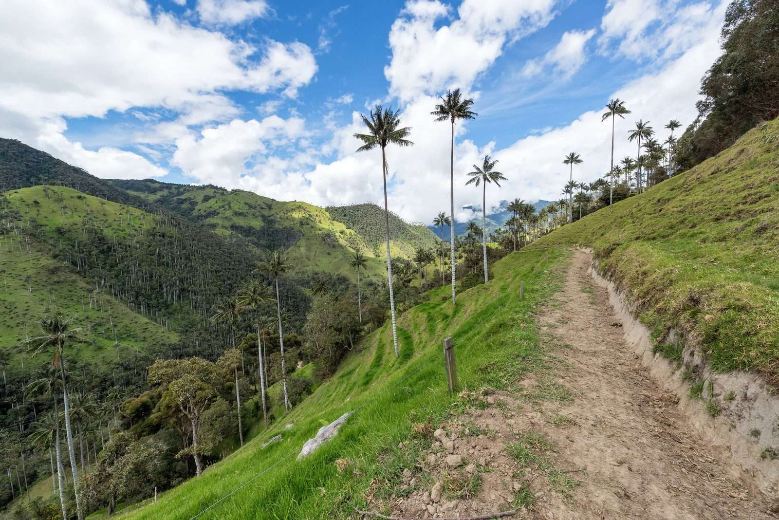 Colombie
