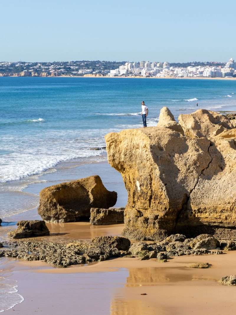 Faro