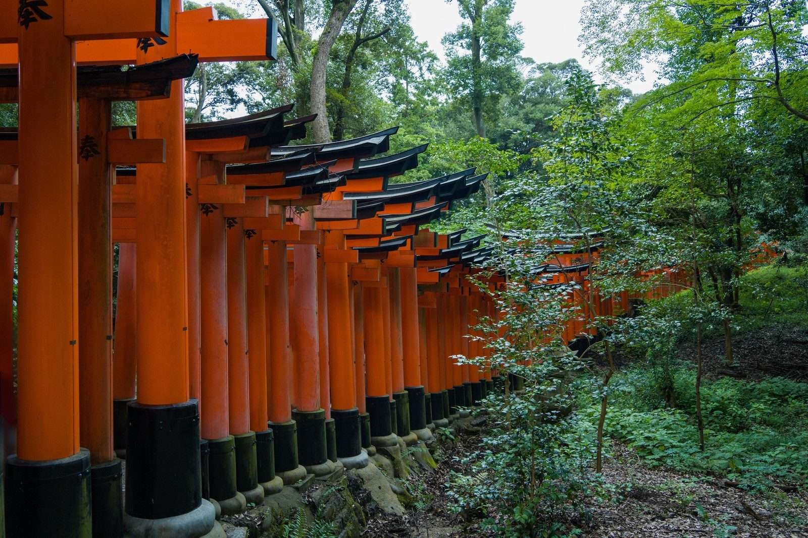 Kyoto