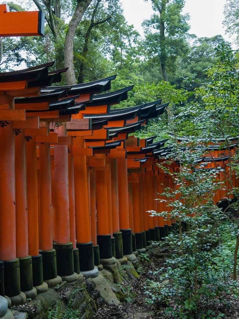 Kyoto