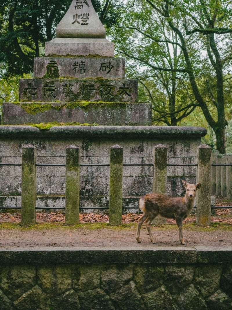 Nara